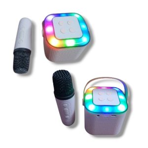 WIRELESS KARAOKE SPEAKERS Y1-GR77